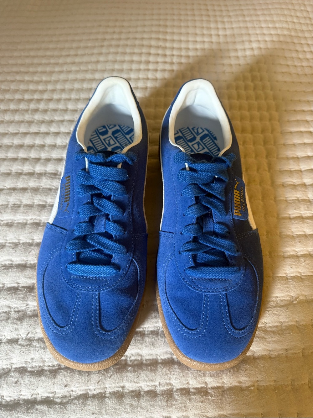 Puma Palermo Men's Royal Blue Suede Sneakers with Gum Outsole